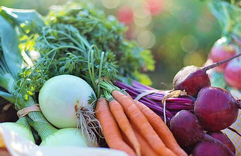 Photo vue de haut de légumes et de fruits sur un stand