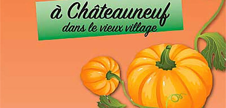 Affiche sur fond orange representant une courge avec le texte suivant : 20 ans, déjà !